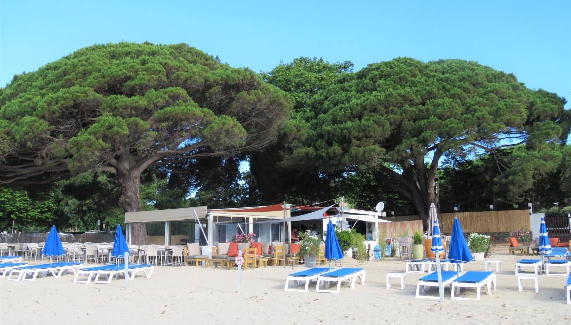 Plage Villa Treize Beauvallon Properties